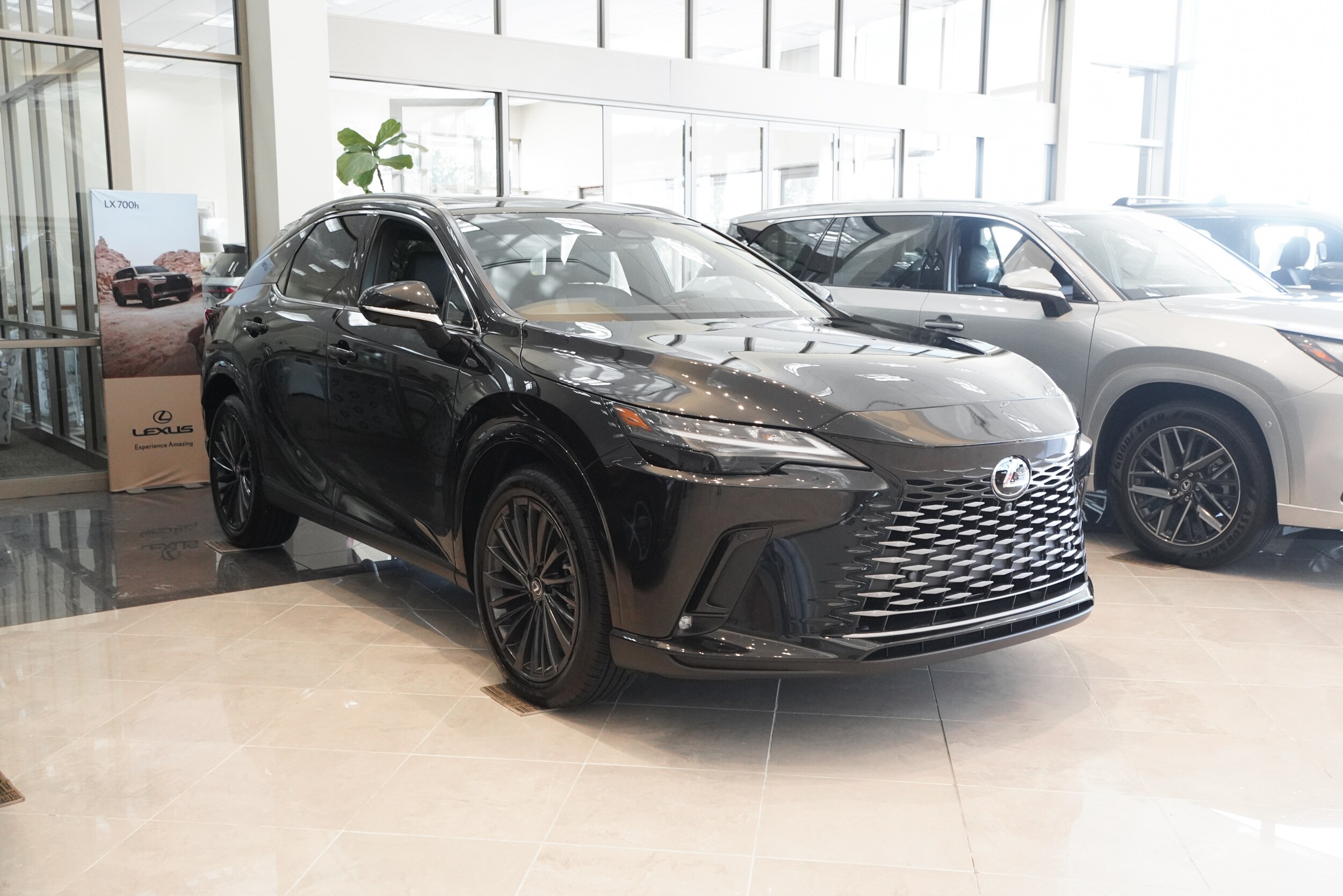 2025 Lexus RX 350 Premium photo 3