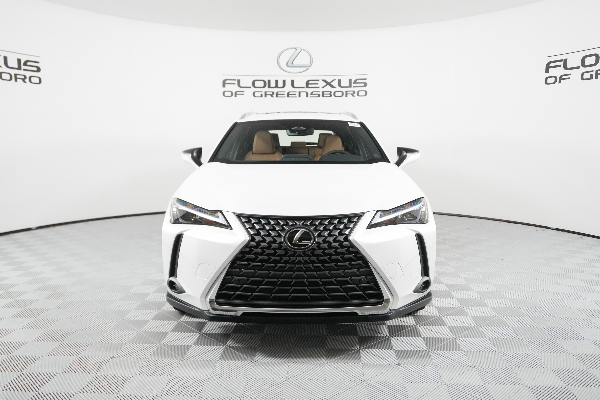 2025 Lexus UX Premium photo 2