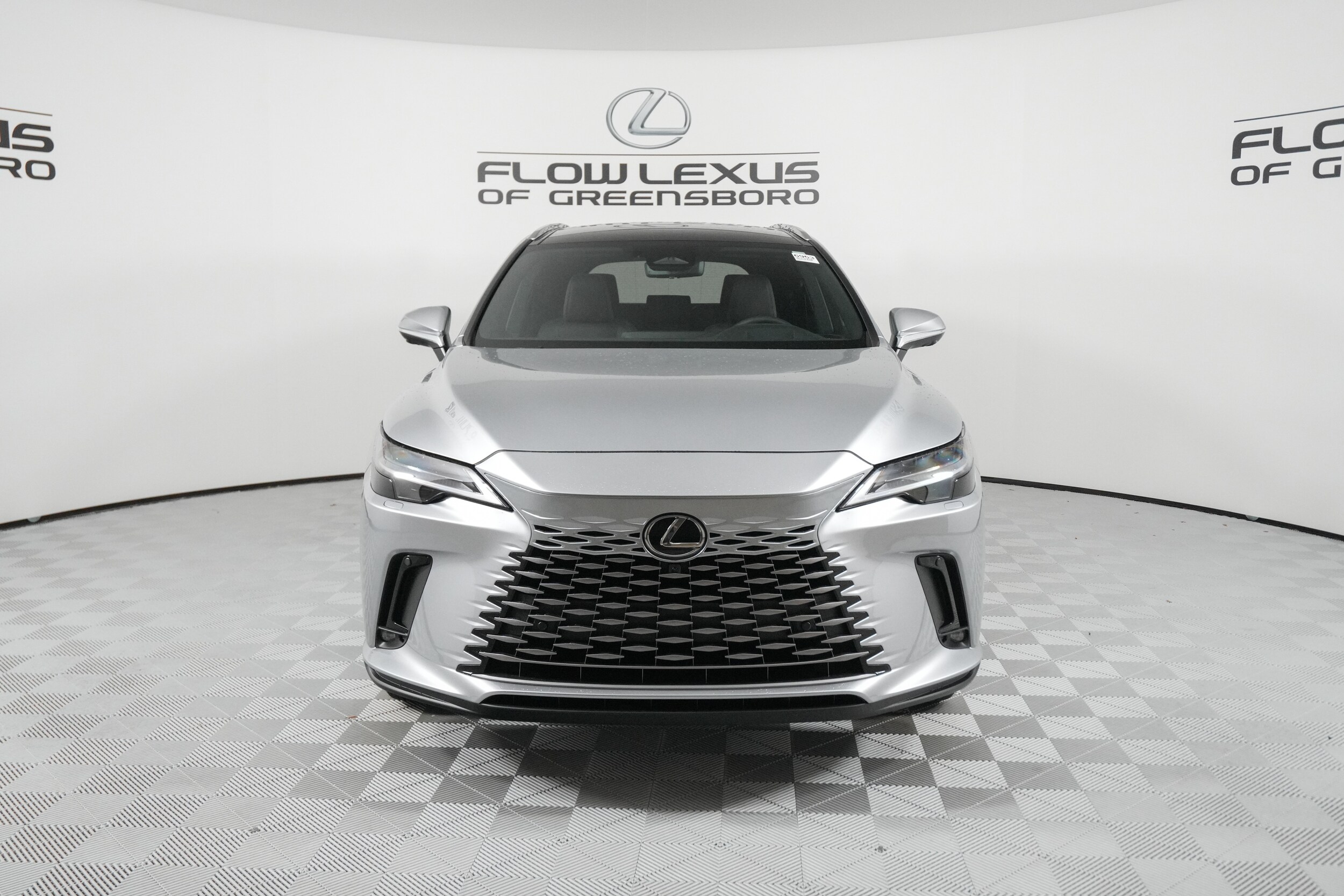 2025 Lexus RX 350 Luxury photo 2
