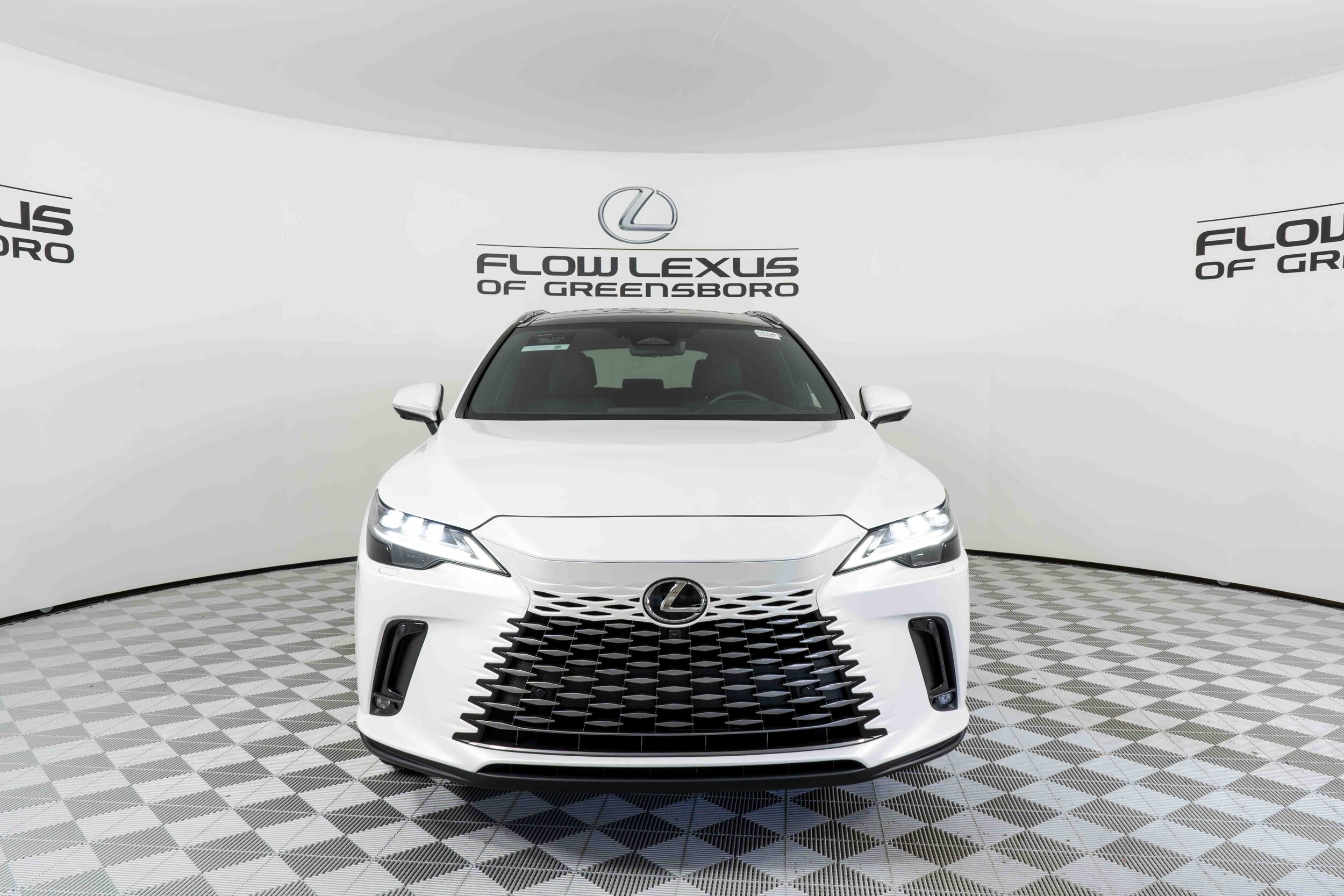 2023 Lexus RX 350 Luxury photo 2