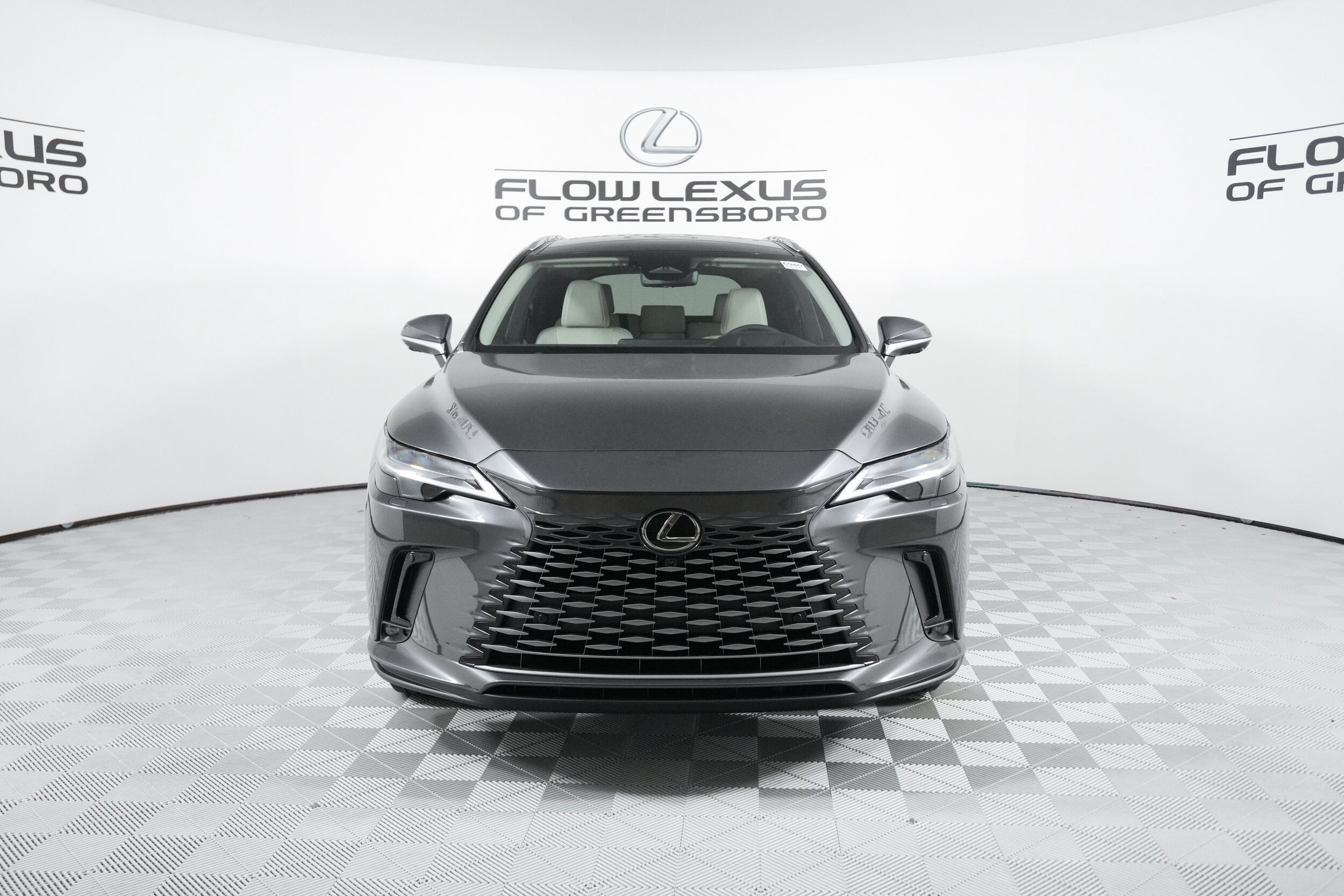 2025 Lexus RX 350 Luxury photo 2