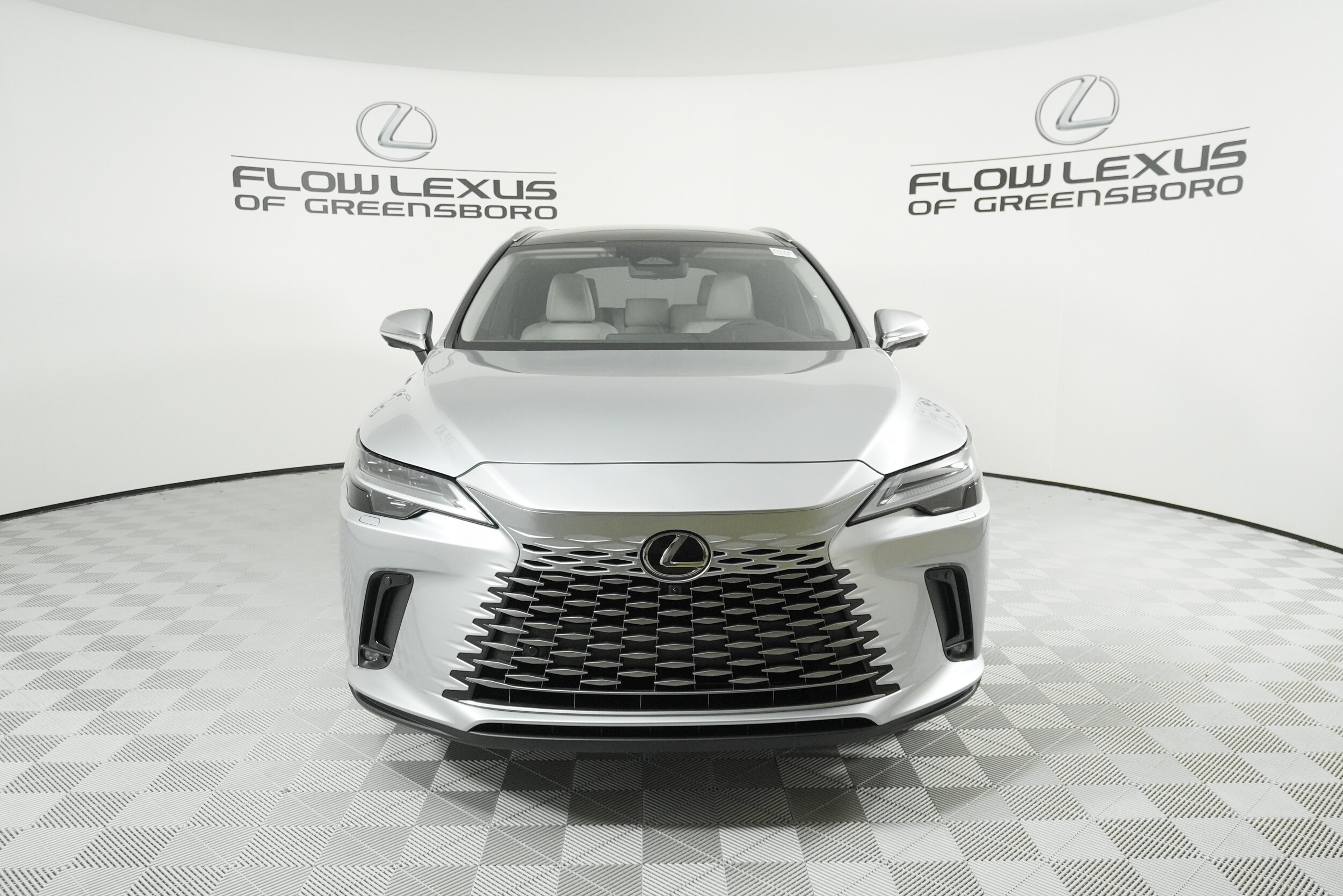 2025 Lexus RX 350 Luxury photo 2
