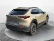 2025 Mazda CX-30 2.5 Carbon Turbo SUV