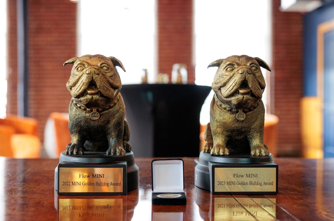 Two golden bulldog statues side by side representing the MINI Golden Bulldog awards presented to Flow MINI in Winston Salem NC