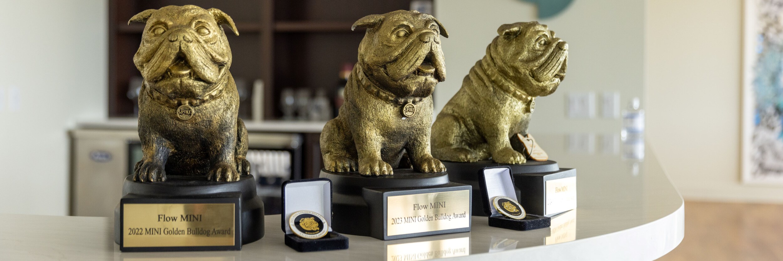 The golden bulldog award is bestowed upon 11 MINI dealerships each year. Flow MINI has won the award 3 years in a row