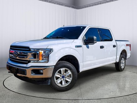2019 Ford F-150 XLT Truck