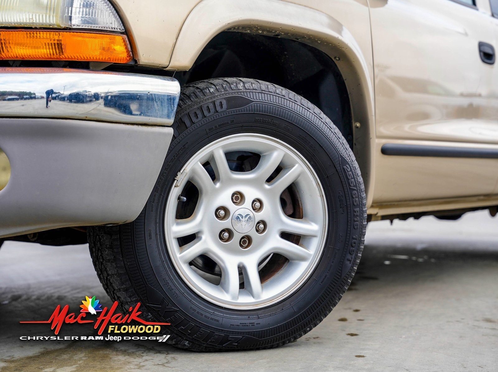 Used 2003 Dodge Dakota SLT with VIN 1D7HL48N93S344927 for sale in Flowood, MS