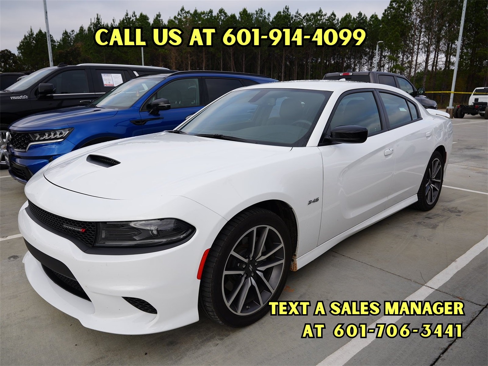 2023 Dodge Charger R/T's photo