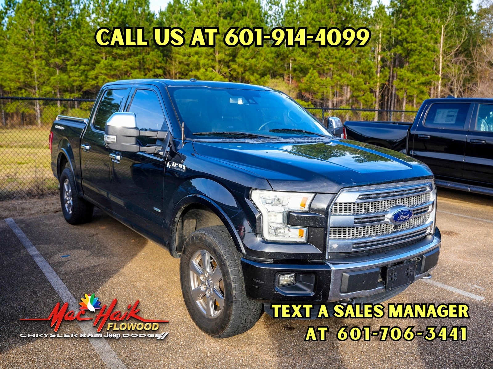 2015 Ford F-150 Platinum's photo