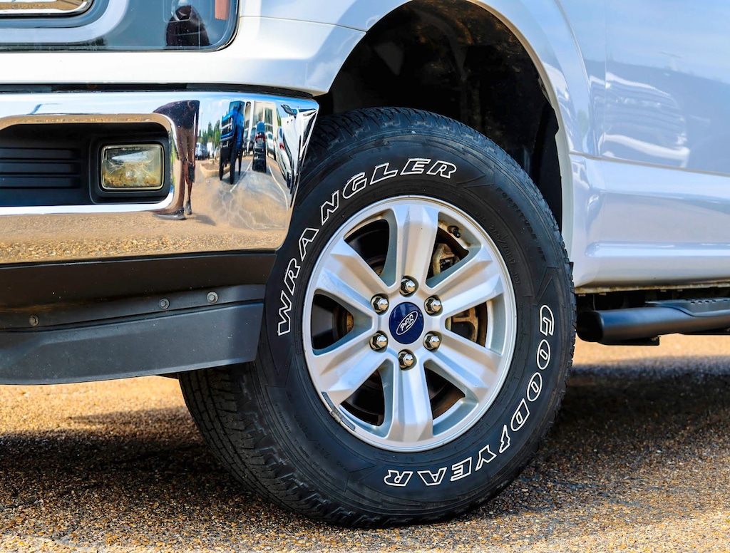 Used 2019 Ford F-150 XL Truck