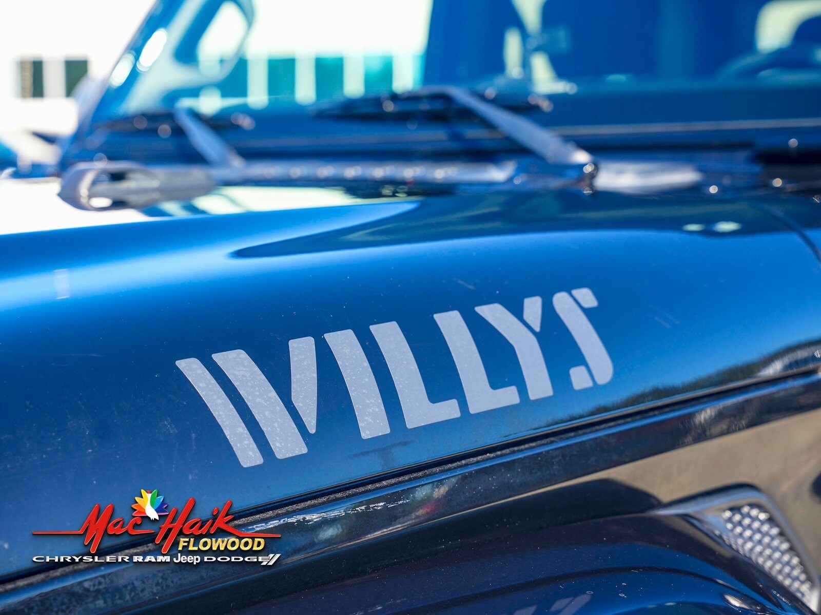 2021 Jeep Gladiator Willys photo 3