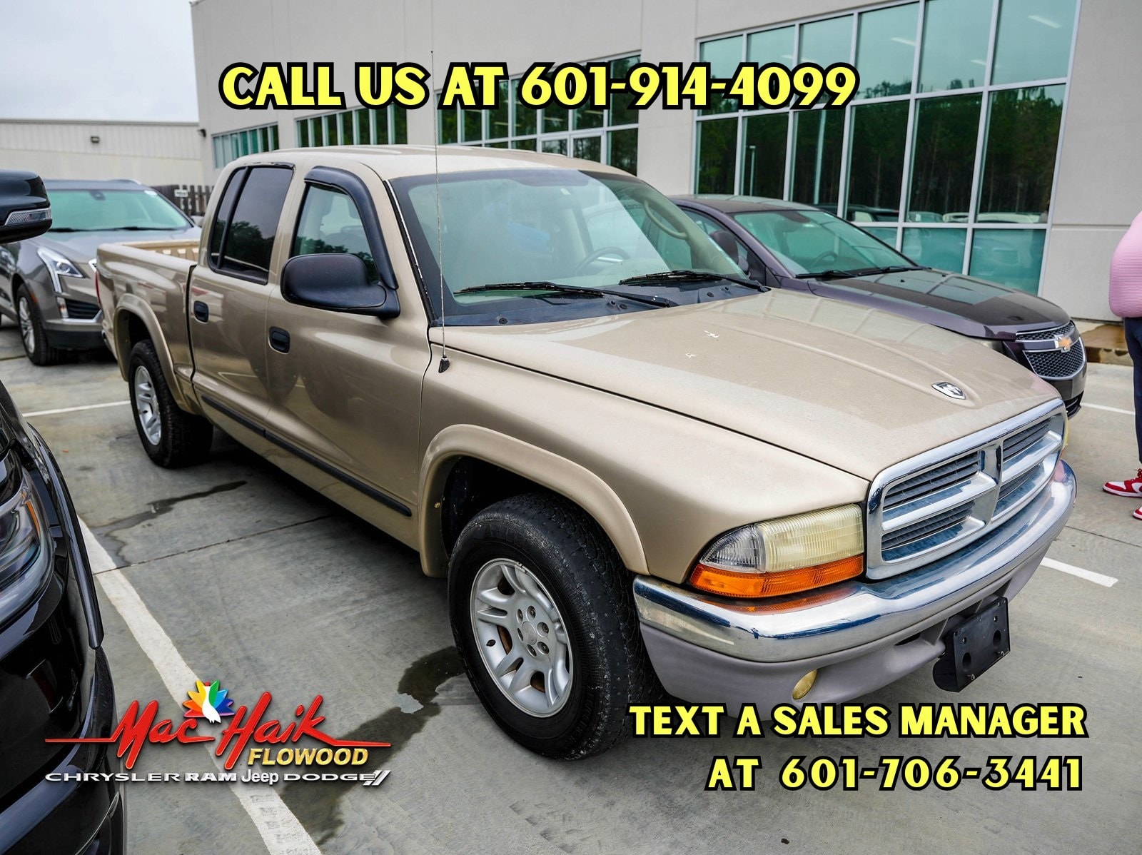 2003 Dodge Dakota SLT's photo