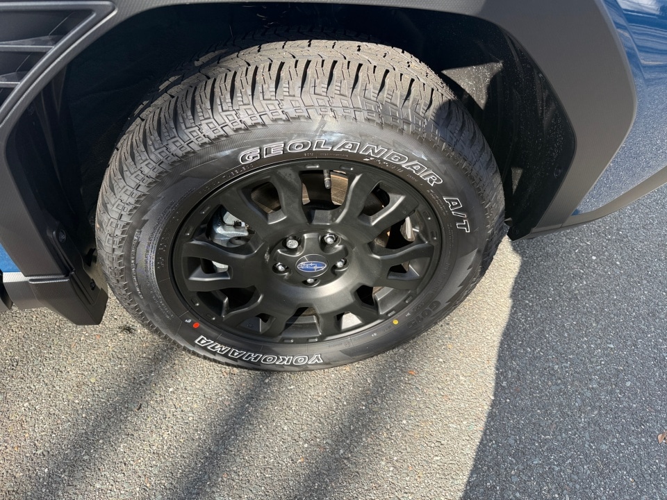 2026 Subaru Forester Wilderness - Photo 25