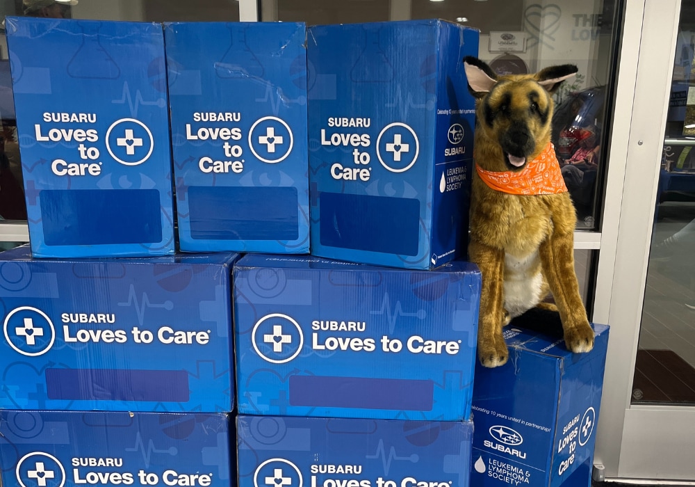 A stack of Subaru loves to care donation packages. There is a stuffed animal sitting on top of them