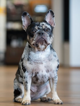 Staff member Winston from 398ad7d9c839