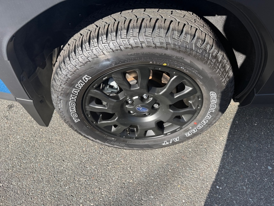 2026 Subaru Forester Wilderness - Photo 23