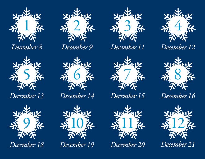 12 Days of Giveaways-2