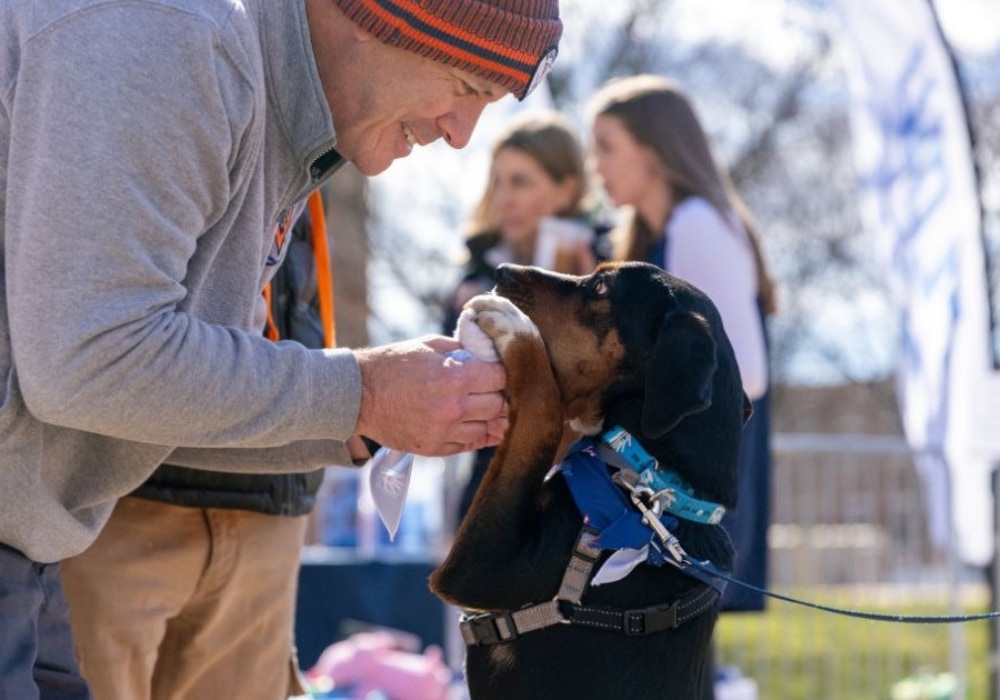 a photo of a do playing with its owner