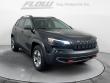Used 2019 Jeep Cherokee Trailhawk 4x4 SUV