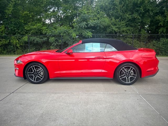 2023 Ford Mustang EcoBoost Premium photo 2