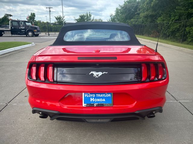 2023 Ford Mustang EcoBoost Premium photo 4