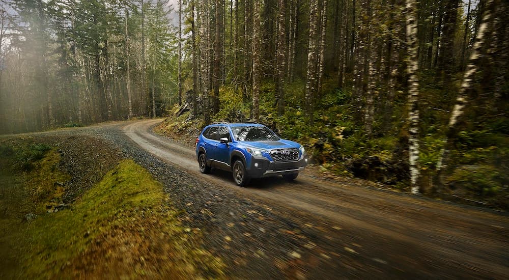 A blue 2022 Subaru Forester Wilderness is shown driving down a wooded path.
