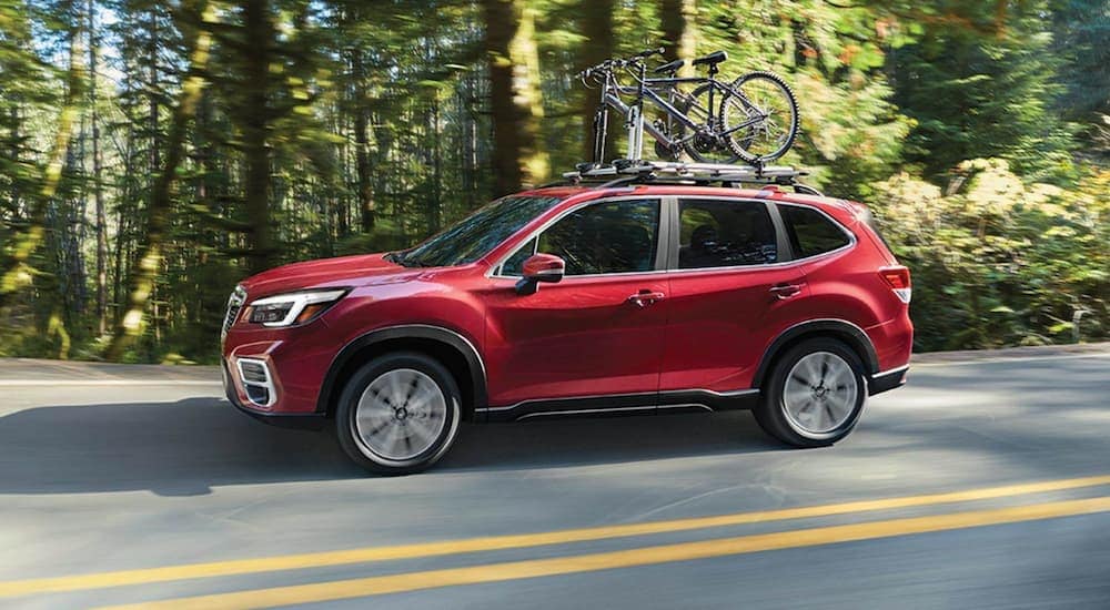 A red 2021 Subaru Forester is driving past trees with bikes on the roof.