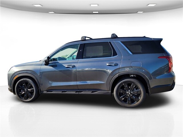 2025 Hyundai Palisade XRT photo 3