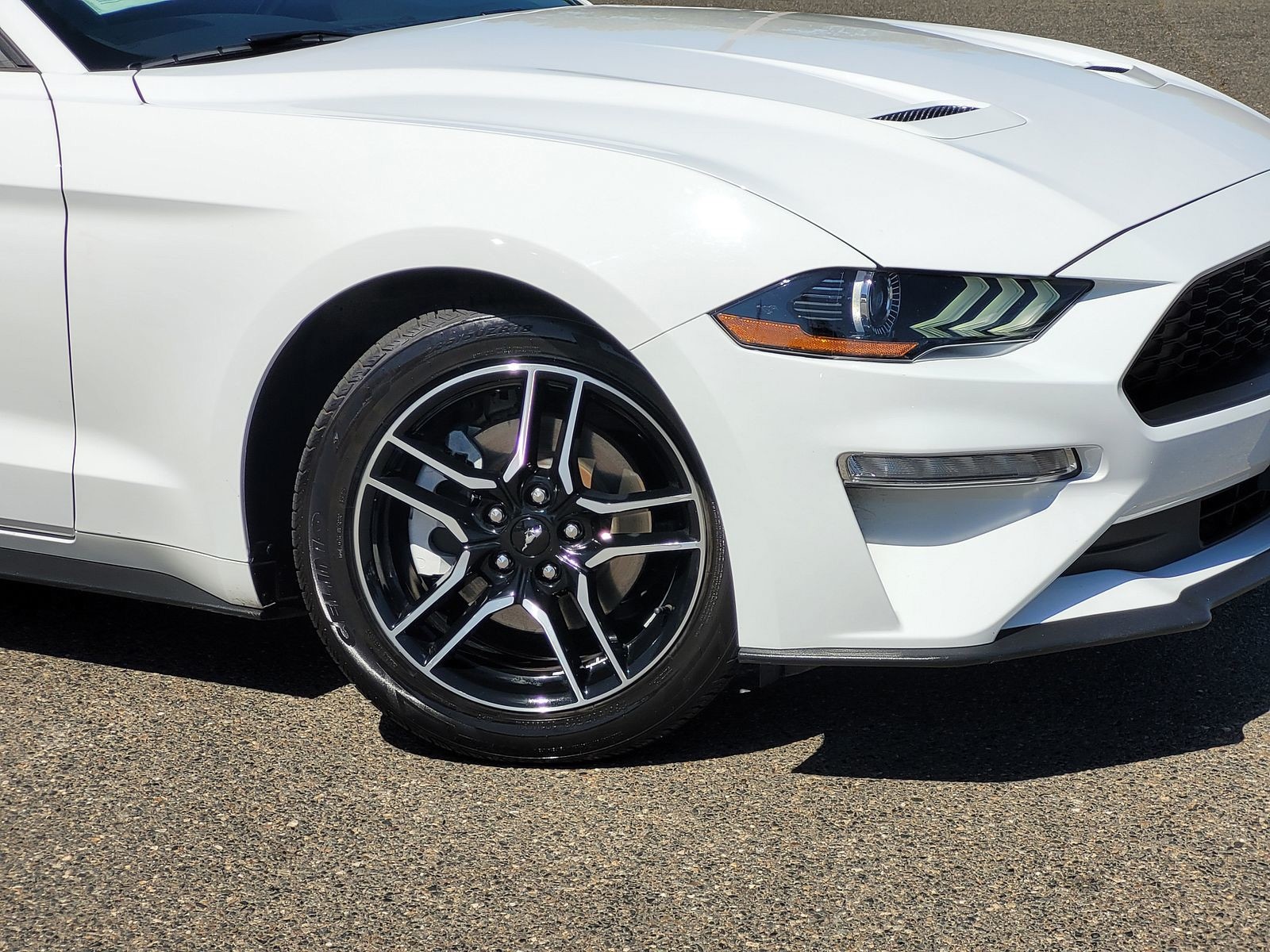 2023 Ford Mustang Ecoboost Premium photo 5