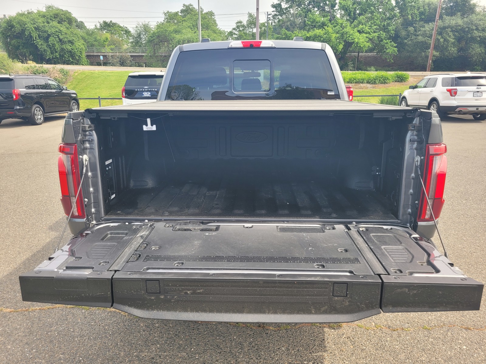 2025 Ford F-150 Platinum photo 3