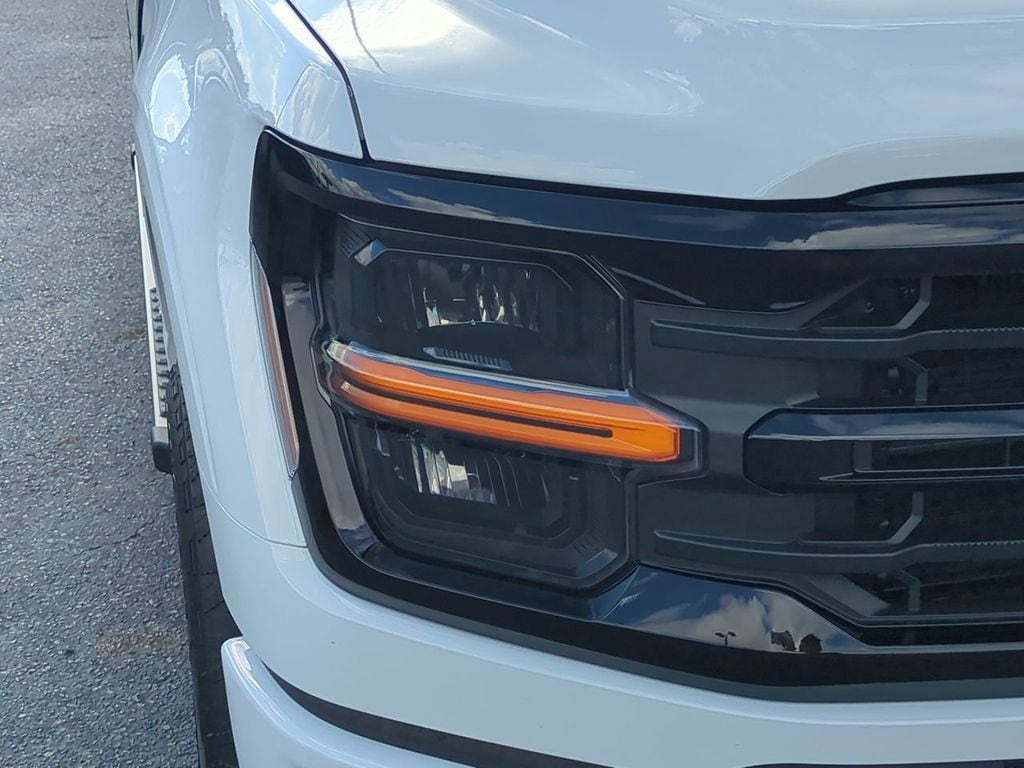 2025 Ford F-150 XLT - Photo 10