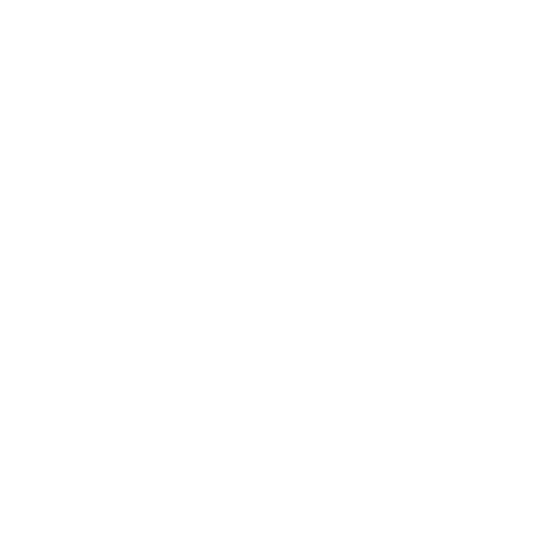 Proof of Insurance Icon