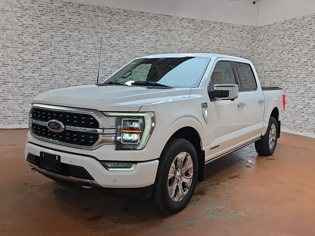2022 Ford F-150 Platinum photo 3