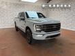 Used 2023 Ford F-150 Tremor Truck