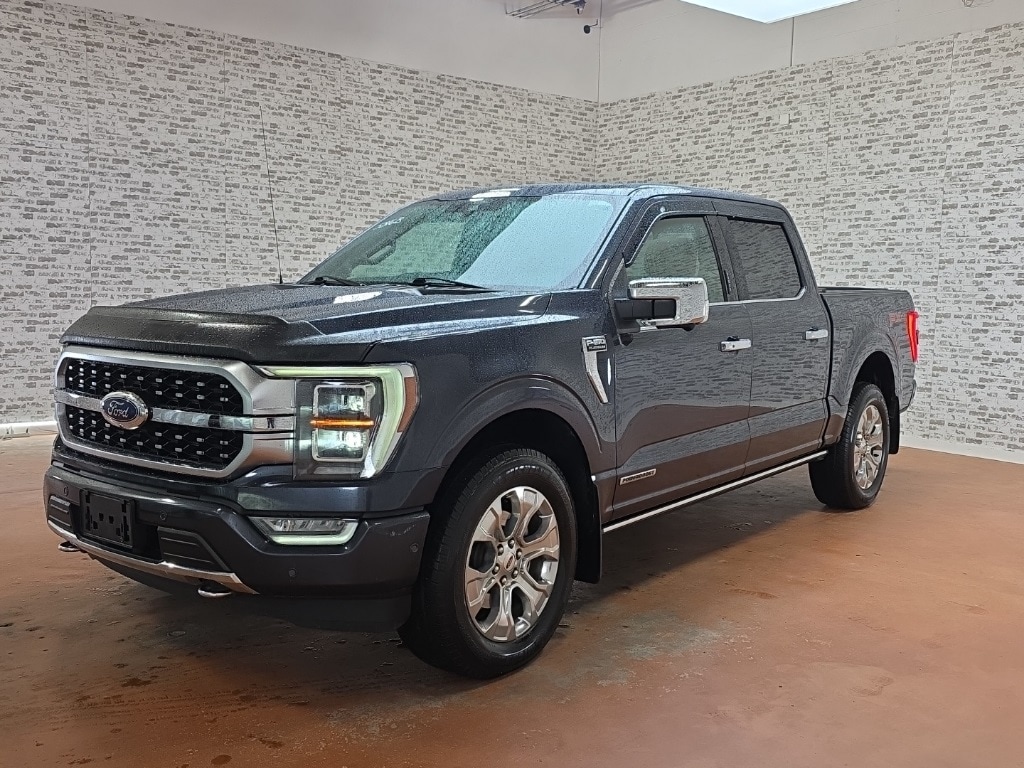 2021 Ford F-150 Platinum photo 3