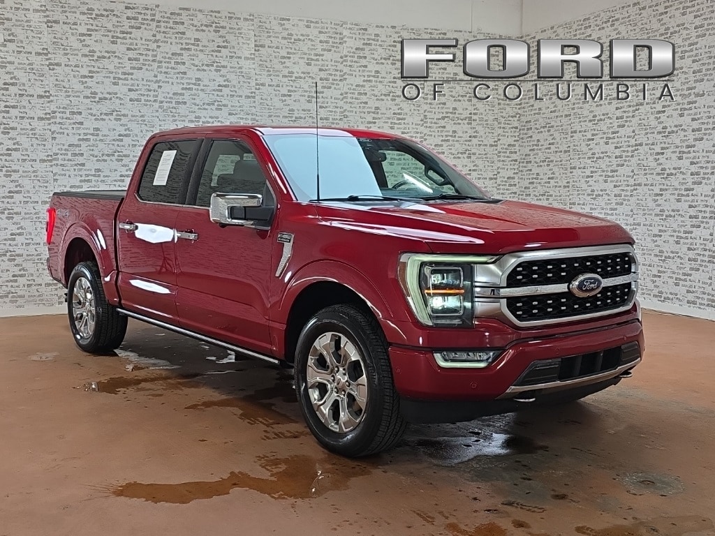 2022 Ford F-150 Platinum's photo