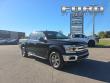 Used 2019 Ford F-150 XLT Truck