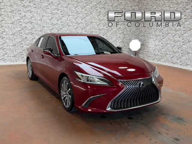 2019 Lexus ES 300h 300h's photo