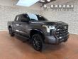 Used 2022 Toyota Tundra Platinum Truck