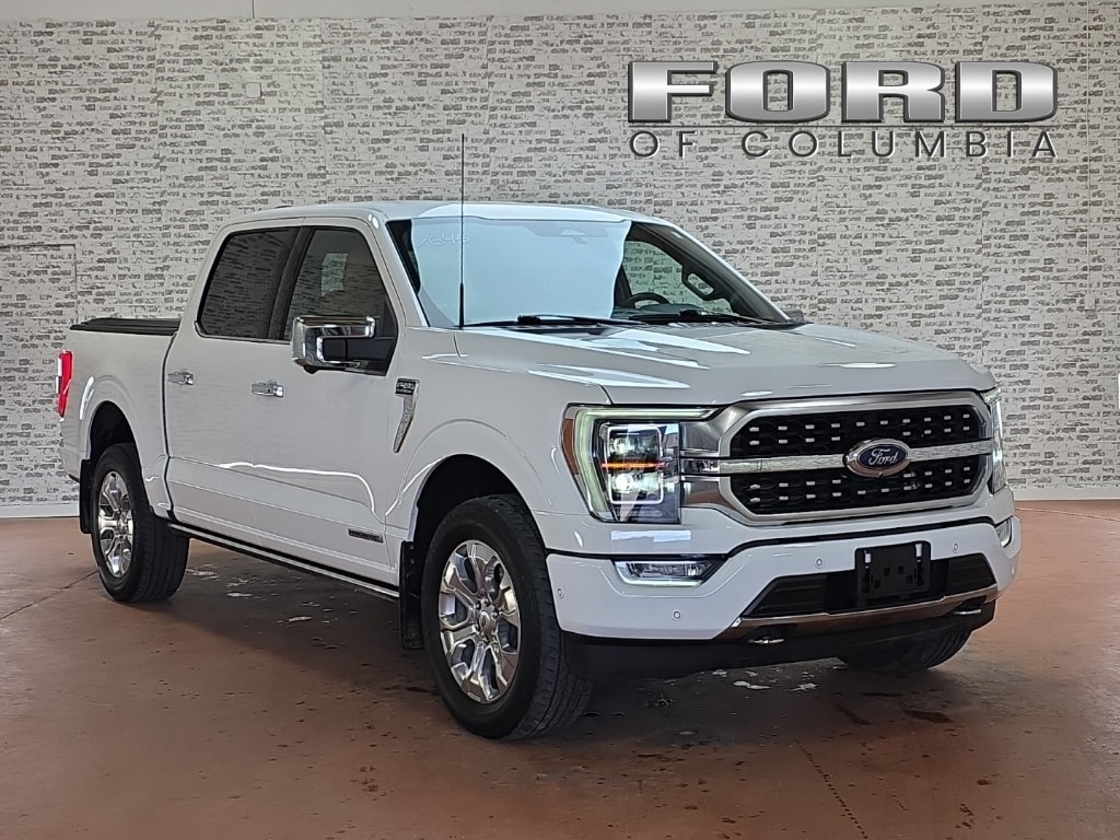 2022 Ford F-150 Platinum's photo