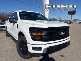 2025 Ford F-150 XLT Truck