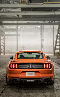 2020 Ford Mustang near Me | Ford Dealer in Madisonville, KY