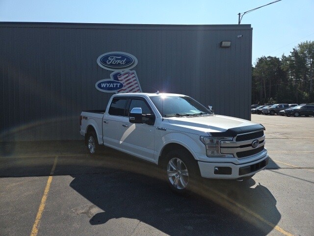 2019 Ford F-150 Platinum photo 2