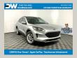 Used 2020 Ford Escape SE SUV