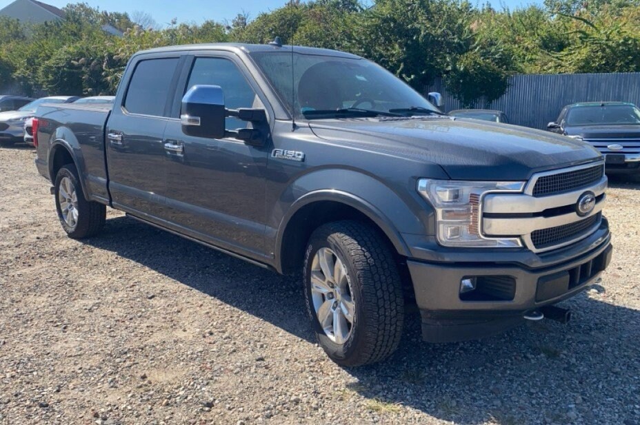 2018 Ford F-150 Platinum photo 2