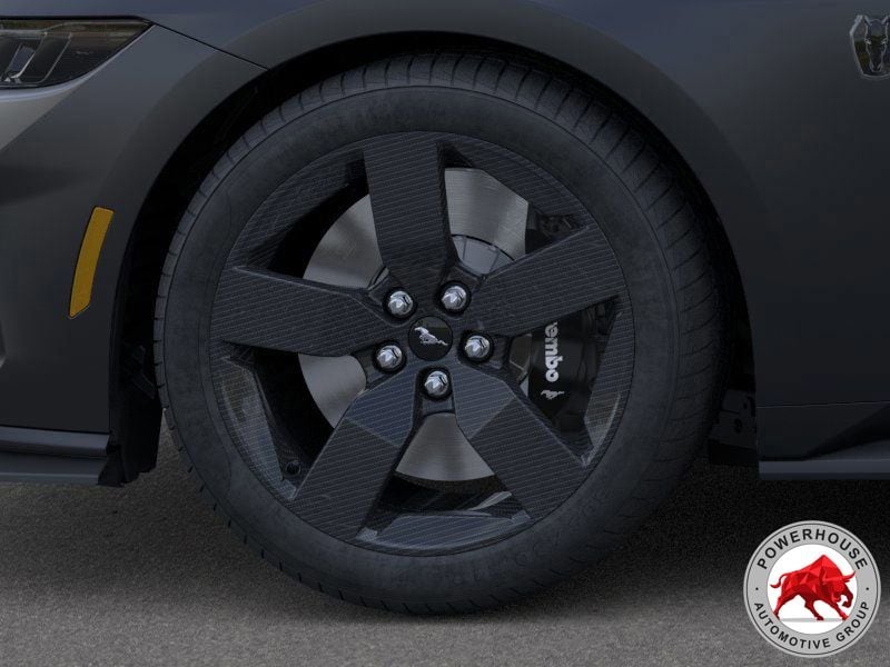 2025 Ford Mustang Dark Horse - Photo 21