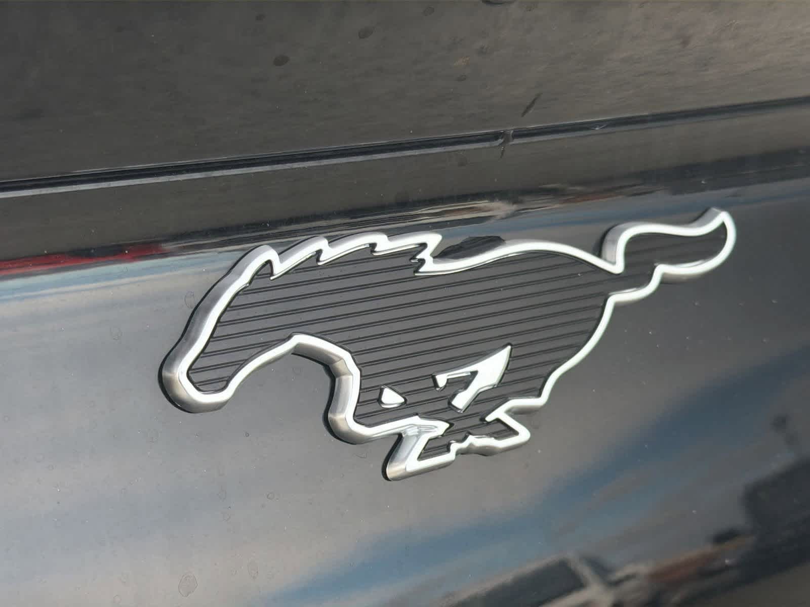 Thumbnail: 2025 Ford Mustang Mach-E - 13