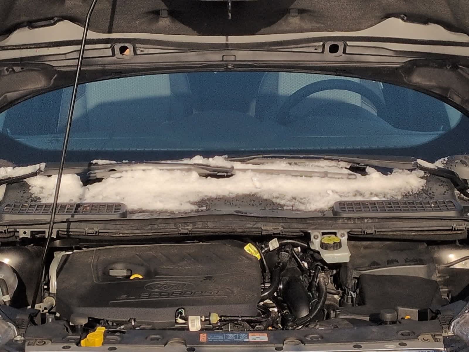 Thumbnail: 2018 Ford Escape - 15