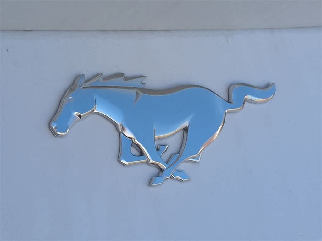 Thumbnail: 2025 Ford Mustang - 13