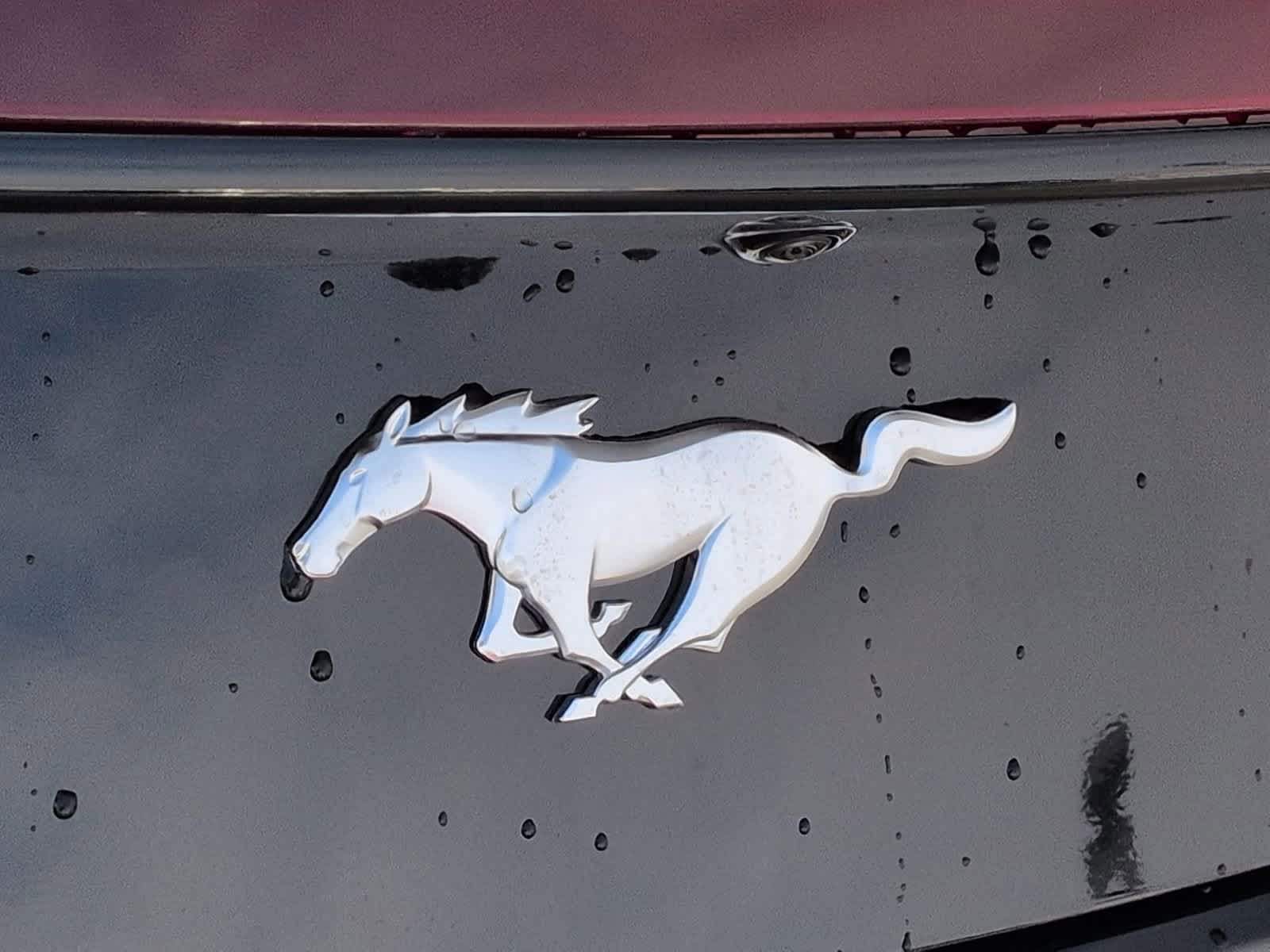 Thumbnail: 2026 Ford Mustang - 14